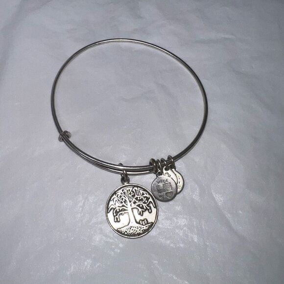 Alex And Ani Boston Tree Of Life Bracelet With Charm Rafaelian Silver - Picture 1 of 6